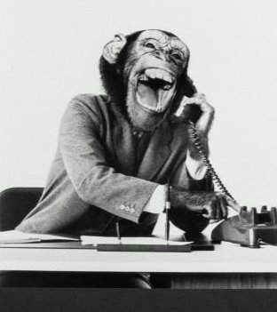 388C093A-4E7E-4C4A-9411-1D5B579FE53610