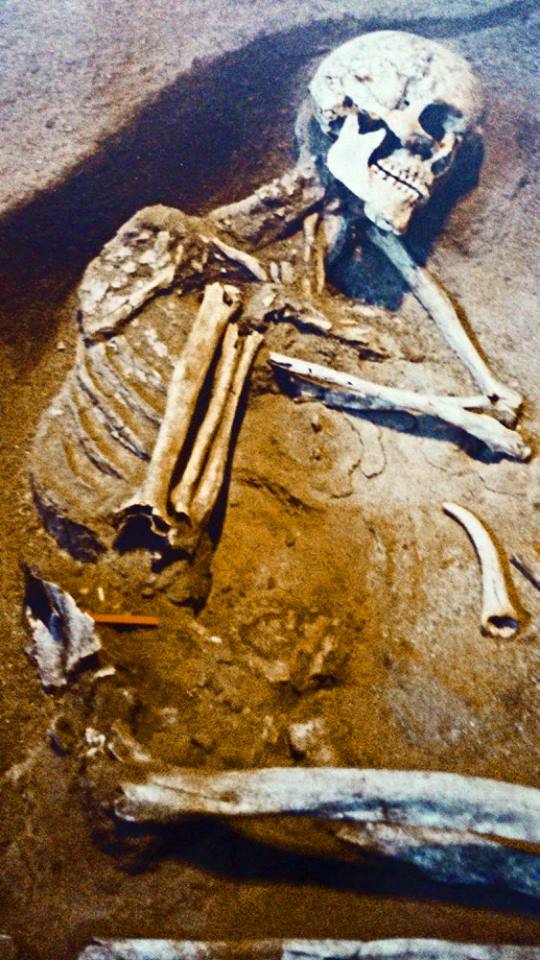 12806117_1215250081820201_4000078210477068592_n